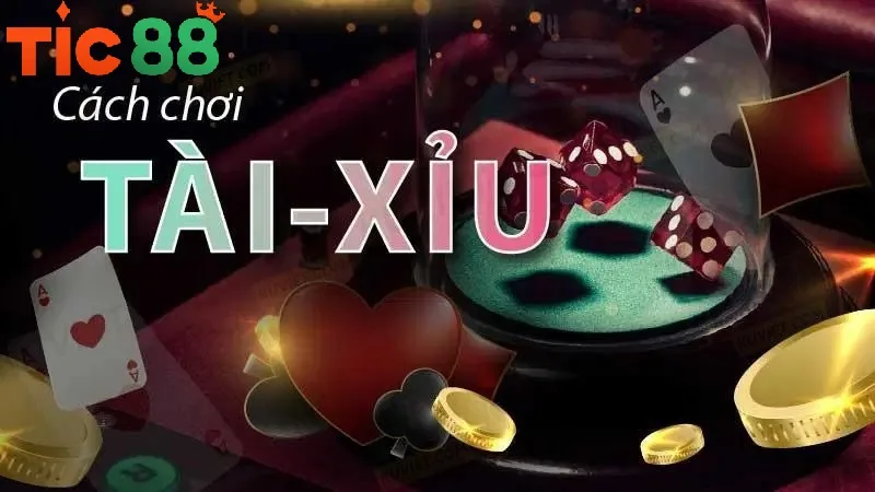 Muốn chơi tốt bất cứ trò nào bạn đều phải nắm chắc luật